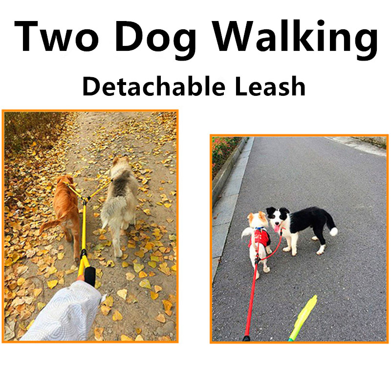 Dog Leash Double Leashes for D - Leather Strap Quick Release บทวิจารณ์และราคา