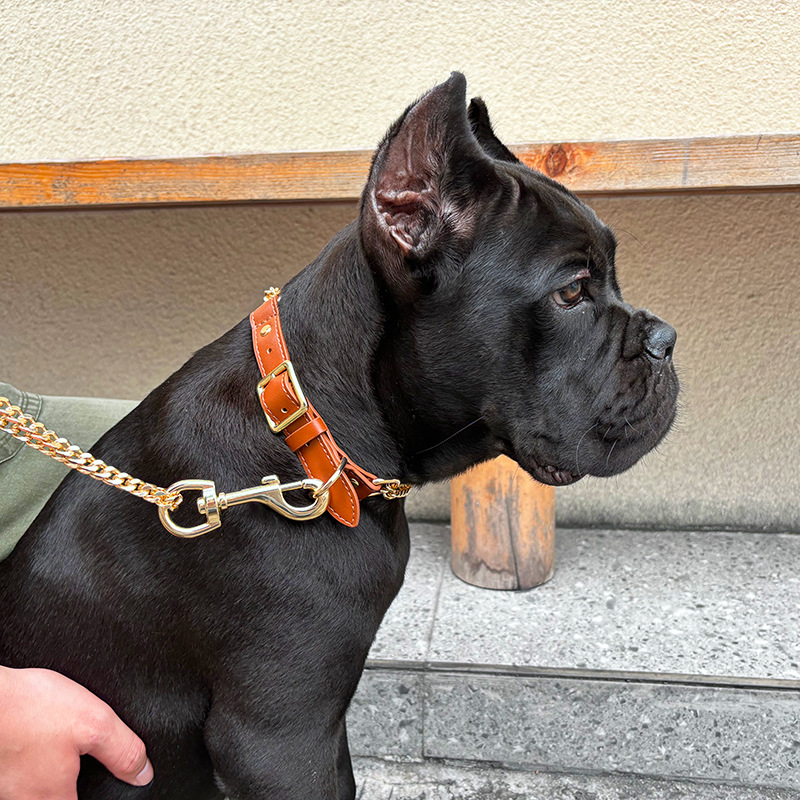 Loudik Wholesale Pet Collar Le - Leather Strap Quick Release บทวิจารณ์และราคา